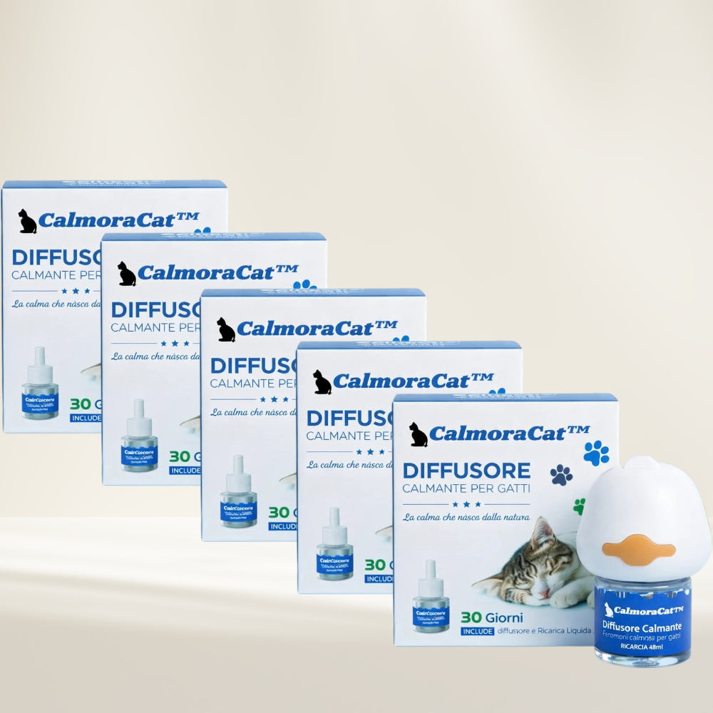 CalmoraChat