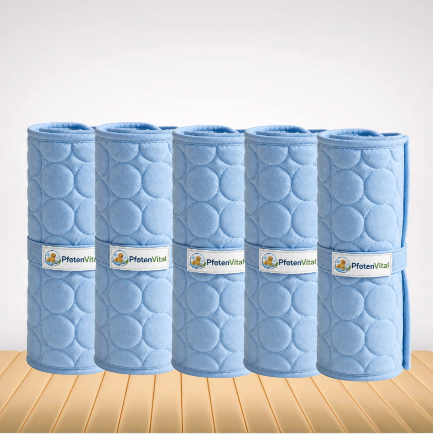 PfotenVital